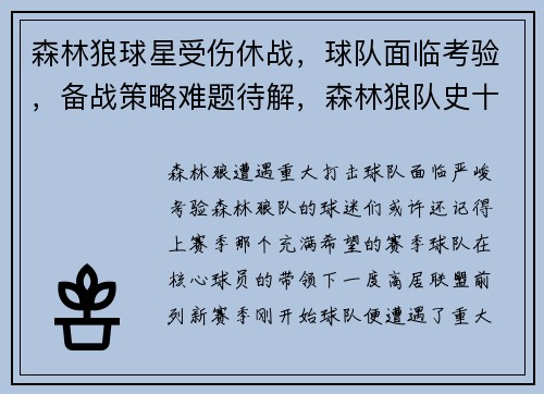 森林狼球星受伤休战，球队面临考验，备战策略难题待解，森林狼队史十大球星